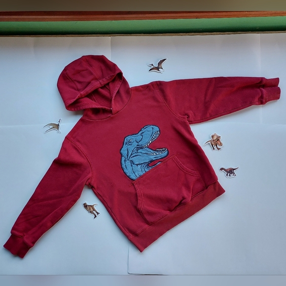 Gymboree dinosaur hoodie 7-8 years - Picture 5 of 15